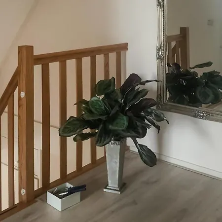 Beautiful In With Wifi *