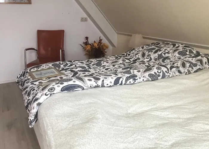 Beautiful In With Wifi Julianadorp